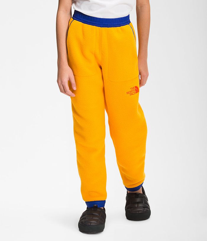 Bottoms The North Face Niña Doradas Juventud Unisex Colorblock De Lana Pantalones 23978EDMV